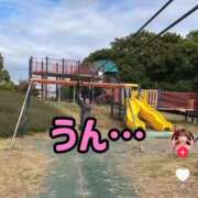 ヒメ日記 2025/10/29 22:52 投稿 ひまわり　ゆり お姉京都