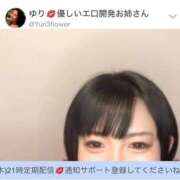 ヒメ日記 2025/11/04 08:12 投稿 ひまわり　ゆり お姉京都