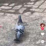 ヒメ日記 2025/11/08 00:32 投稿 ひまわり　ゆり お姉京都