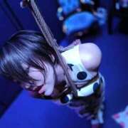 ヒメ日記 2025/11/09 11:57 投稿 ひまわり　ゆり お姉京都