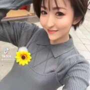 ヒメ日記 2025/11/15 06:32 投稿 ひまわり　ゆり お姉京都