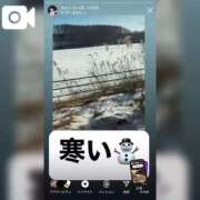 ヒメ日記 2025/12/06 23:32 投稿 ひまわり　ゆり お姉京都