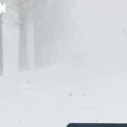 ヒメ日記 2025/12/16 09:09 投稿 ひまわり　ゆり お姉京都