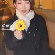 ヒメ日記 2025/12/17 00:57 投稿 ひまわり　ゆり お姉京都