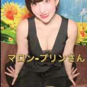 ヒメ日記 2026/03/14 11:52 投稿 ひまわり　ゆり お姉京都