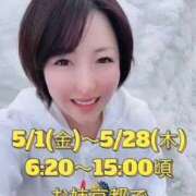 ヒメ日記 2026/03/16 20:14 投稿 ひまわり　ゆり お姉京都