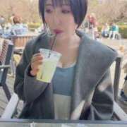 ヒメ日記 2026/03/25 23:12 投稿 ひまわり　ゆり お姉京都