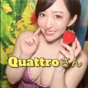 ヒメ日記 2026/03/26 12:02 投稿 ひまわり　ゆり お姉京都