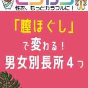 ヒメ日記 2026/04/01 18:12 投稿 ひまわり　ゆり お姉京都