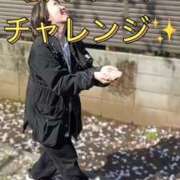 ヒメ日記 2026/04/08 12:03 投稿 ひまわり　ゆり お姉京都