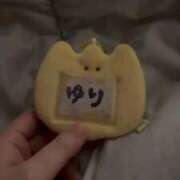 ヒメ日記 2026/04/10 07:02 投稿 ひまわり　ゆり お姉京都