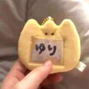 ヒメ日記 2026/04/12 07:12 投稿 ひまわり　ゆり お姉京都