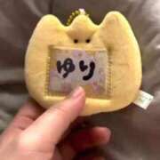 ヒメ日記 2026/04/13 07:02 投稿 ひまわり　ゆり お姉京都