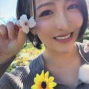 ヒメ日記 2026/04/14 12:02 投稿 ひまわり　ゆり お姉京都