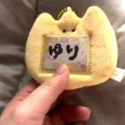 ヒメ日記 2026/04/16 07:17 投稿 ひまわり　ゆり お姉京都