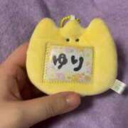 ヒメ日記 2026/04/18 07:12 投稿 ひまわり　ゆり お姉京都