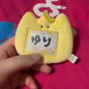 ひまわり　ゆり ​​​​​​感謝の​飲みに行ってきまーす🐈 お姉京都