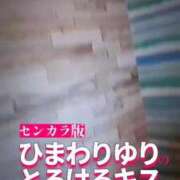 ヒメ日記 2026/07/02 12:22 投稿 ひまわり　ゆり お姉京都