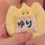 ヒメ日記 2026/10/12 05:48 投稿 ひまわり　ゆり お姉京都