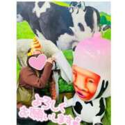 ヒメ日記 2025/03/09 12:40 投稿 ましろ 西船巨乳ぽっちゃり　乳神さま