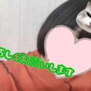 ヒメ日記 2026/02/24 19:39 投稿 ましろ 西船巨乳ぽっちゃり　乳神さま