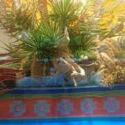 ヒメ日記 2025/01/02 10:24 投稿 メイ ミ・アモーレ