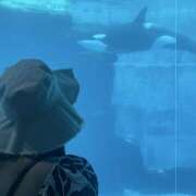 ヒメ日記 2025/05/30 11:40 投稿 メイ ミ・アモーレ