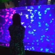 ヒメ日記 2025/06/06 12:26 投稿 メイ ミ・アモーレ