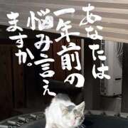 メイ 完全復活♪ ミ・アモーレ