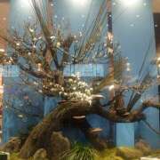 ヒメ日記 2026/01/03 10:42 投稿 メイ ミ・アモーレ