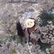 ヒメ日記 2026/03/31 15:16 投稿 メイ ミ・アモーレ