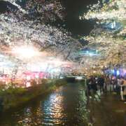 ヒメ日記 2026/04/05 13:28 投稿 メイ ミ・アモーレ