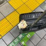 ヒメ日記 2024/12/16 07:01 投稿 フウカ マテリアル