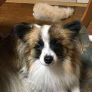 ヒメ日記 2024/12/19 17:01 投稿 フウカ マテリアル