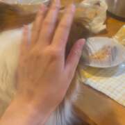 ヒメ日記 2025/01/06 09:31 投稿 フウカ マテリアル