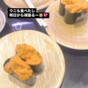 ヒメ日記 2025/01/09 18:16 投稿 フウカ マテリアル