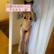 ヒメ日記 2025/04/08 13:01 投稿 フウカ マテリアル