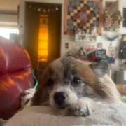 ヒメ日記 2025/04/08 23:46 投稿 フウカ マテリアル