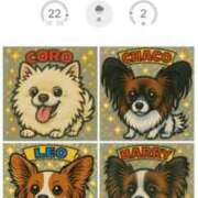 ヒメ日記 2025/04/22 15:46 投稿 フウカ マテリアル