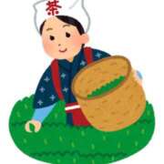 ヒメ日記 2025/05/11 04:31 投稿 フウカ マテリアル