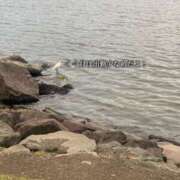 ヒメ日記 2025/07/11 11:46 投稿 フウカ マテリアル