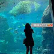 ヒメ日記 2025/07/15 13:31 投稿 フウカ マテリアル