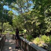 ヒメ日記 2025/07/31 02:46 投稿 フウカ マテリアル