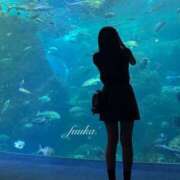 ヒメ日記 2025/10/04 01:16 投稿 フウカ マテリアル