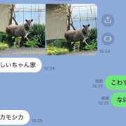 ヒメ日記 2025/10/04 23:16 投稿 フウカ マテリアル