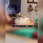 ヒメ日記 2025/10/29 17:01 投稿 フウカ マテリアル