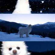 ヒメ日記 2025/11/09 22:46 投稿 フウカ マテリアル