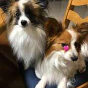 ヒメ日記 2025/11/22 14:31 投稿 フウカ マテリアル