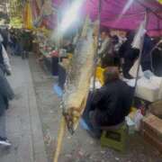 ヒメ日記 2025/11/25 05:16 投稿 フウカ マテリアル