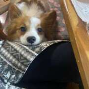 ヒメ日記 2025/11/26 16:46 投稿 フウカ マテリアル